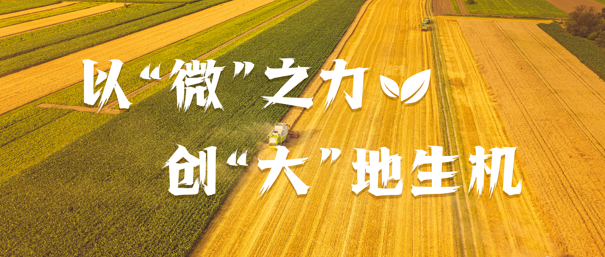 &#39318;&#39029;&#95;&#74;&#68;&#66;&#40;&#20013;&#22269;&#41;&#30005;&#23376;&#95;&#23448;&#26041;&#32593;&#31449;